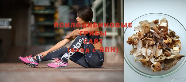 тгк Абаза