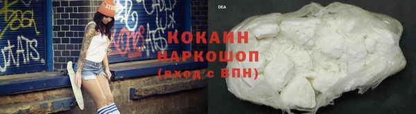 тгк Абаза