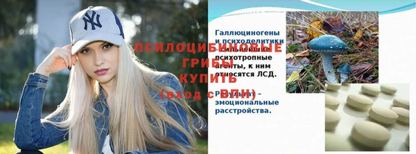 тгк Абаза